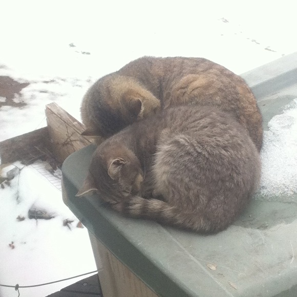 Meet your Posher, Autumn - Picture 1 of 1